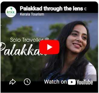 Palakkad